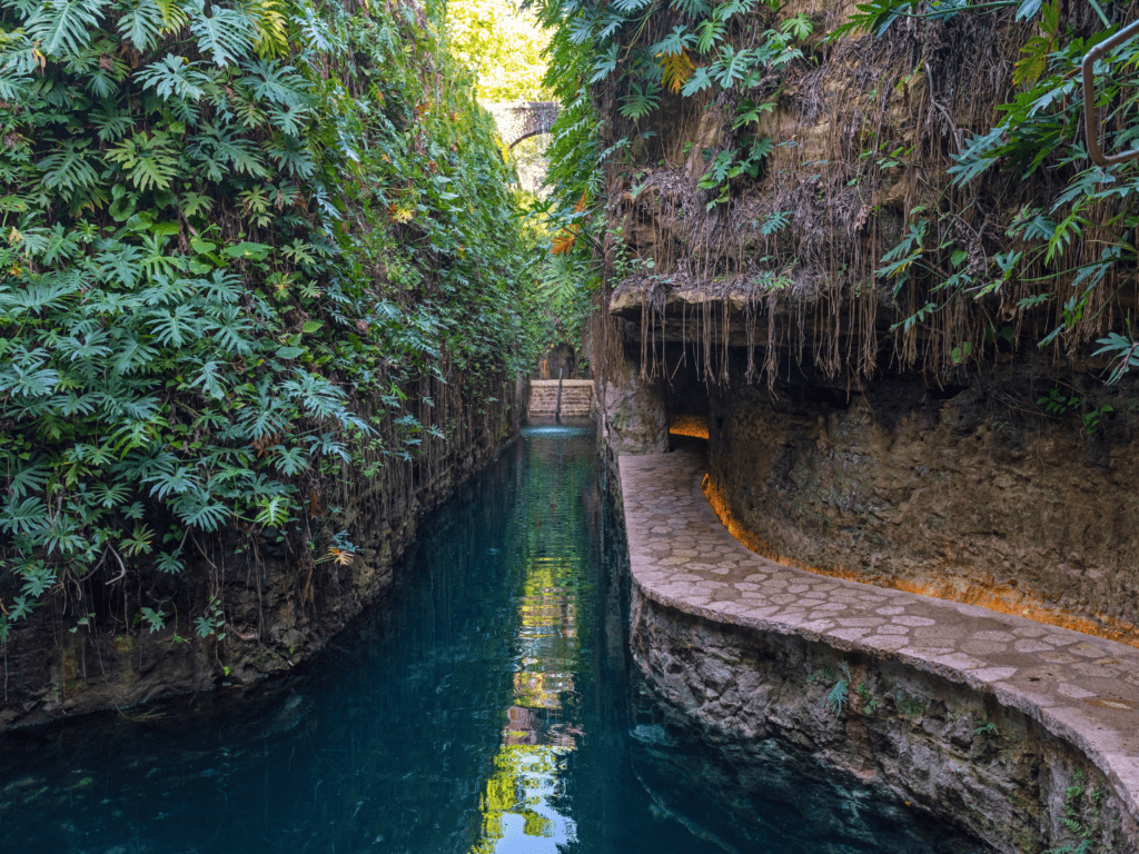 cenote carlota